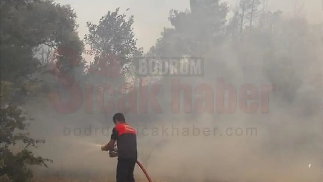 Tarım Arazisi Ve Ormanlık Alanda Yangın Çıktı