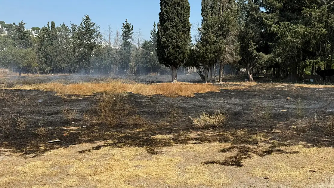 Tarım arazisinde yangın paniği!