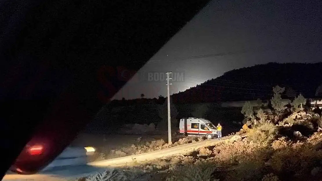 Tarla İçin Yengesini Öldürüp İntihar Etti