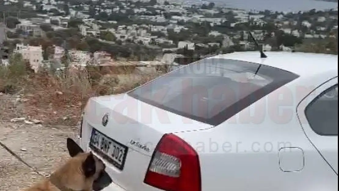 Tina, Uyuşturucuya Geçit Vermedi