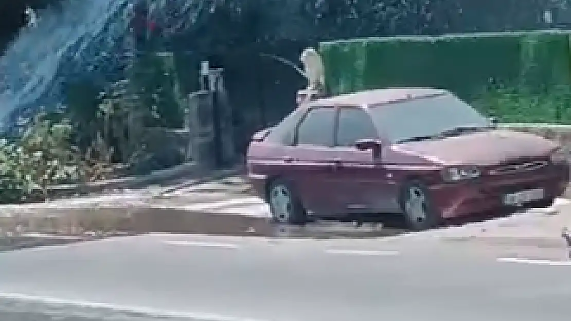Tonlarca Su Bölgeye Dağıldı