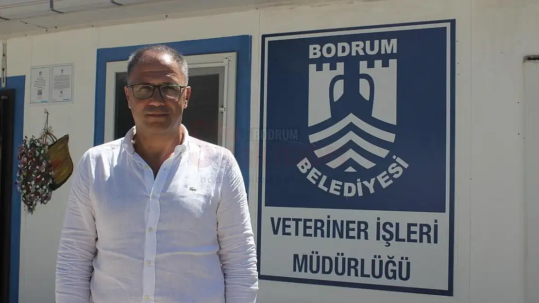 Torba Barınağı 7/24 Can Dostlarımız İçin Canla Başla Çalışıyor