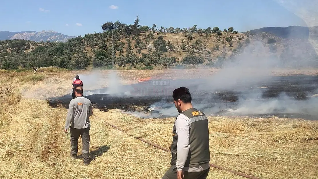 Traktör Egzozdan Çıkan Kıvılcımlar Otluk Yangınına Neden Oldu