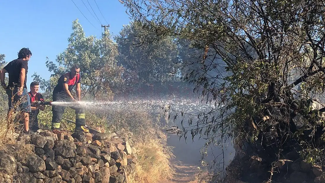 Turgutreis'de Makilik Alanda Yangın Çıktı