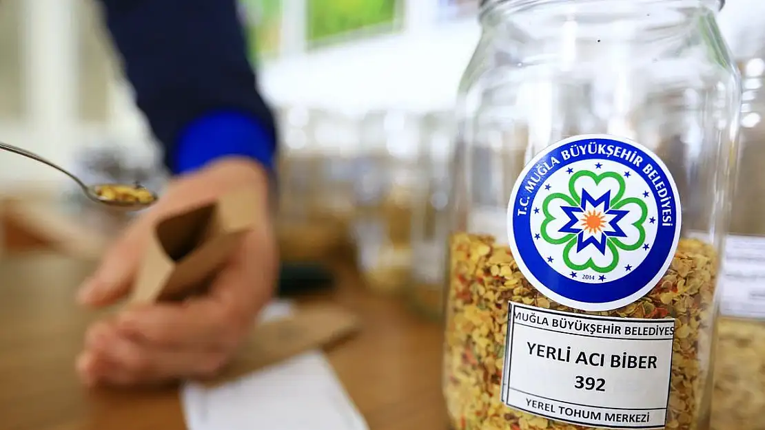 Türkiye'ye İsveç Nüfusu kadar Yerel Tohum Dağıtıldı