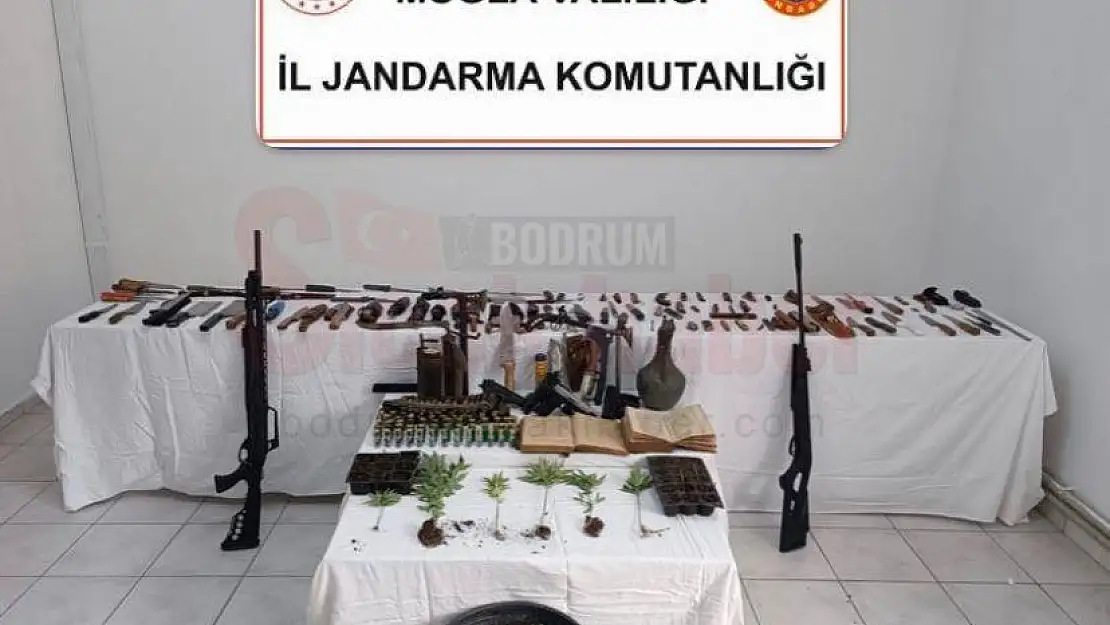 Uyuşturucu Madde Yetiştirip Satan Şüpheli Yakalandı