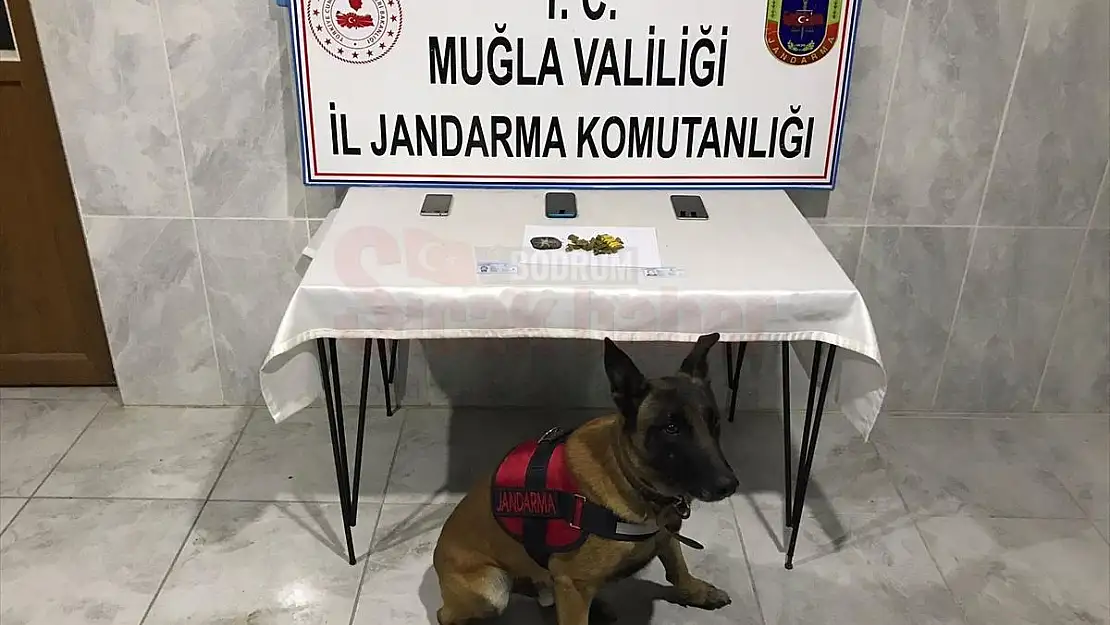 Uyuşturucu Operasyonunda 3 Şüpheli Yakalandı