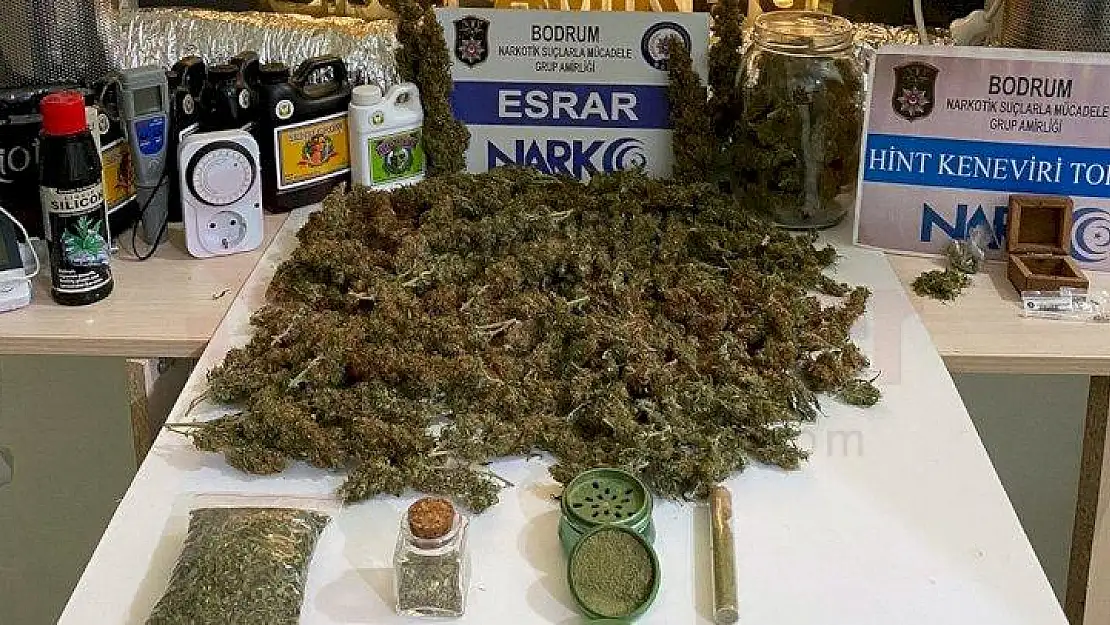 Uyuşturucu Yetiştirilen Eve Baskın 1 Kişi Göz Altına Alındı!