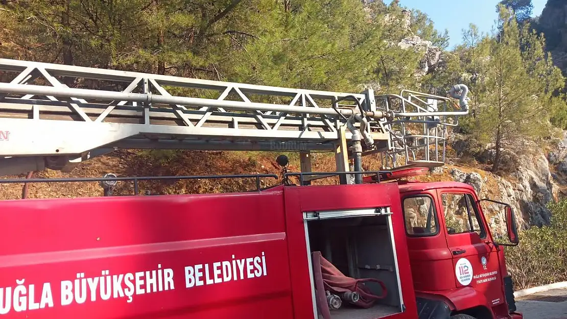 Yangın Ağaçlara Sıçramadan Söndürüldü