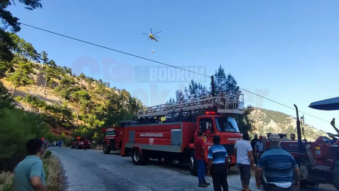 Yangında 10 Dönüm Alan Zarar Gördü