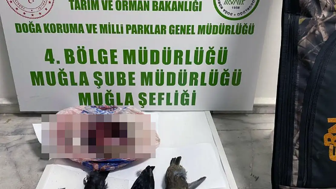 Yasadışı Avcılığa 23 Bin TL Ceza