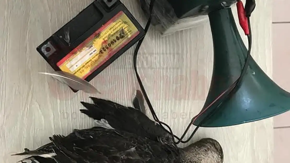 Yasak Bölgede Av Yapan Şahıs Yakalandı