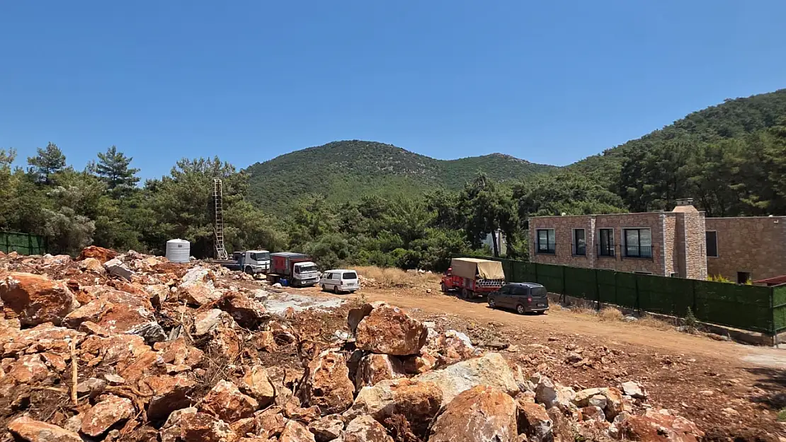 Yasak Dinlemeden Doğa Katliamı!