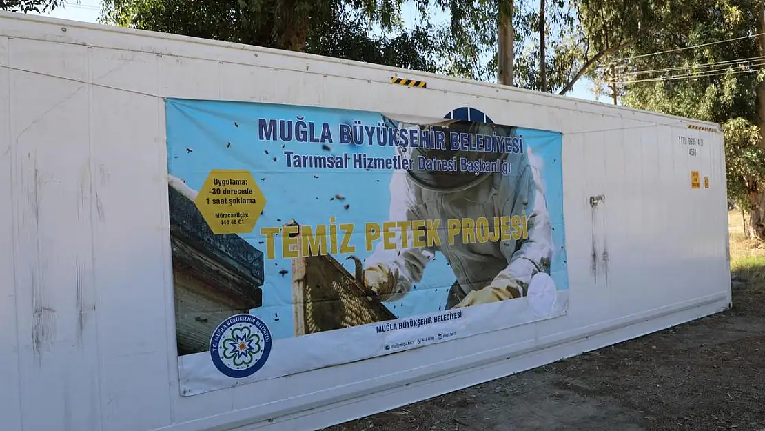 Yerel Yönetimler Arasında Bir İlk: Temiz Petek Projesi