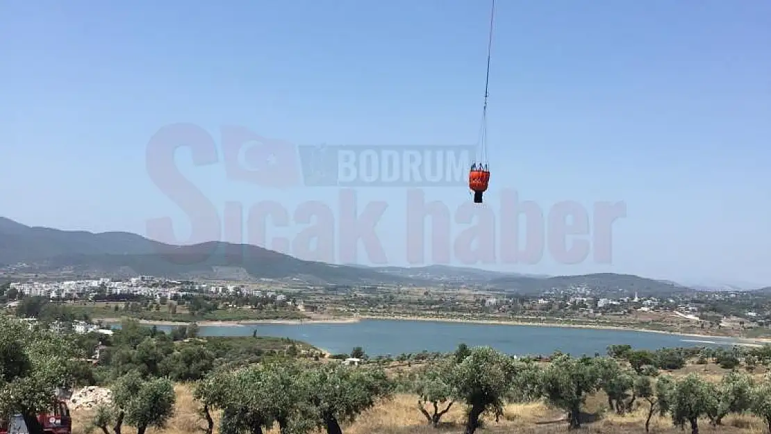 Zeytinlik Alanında Yangın Kontrol Altına Alındı