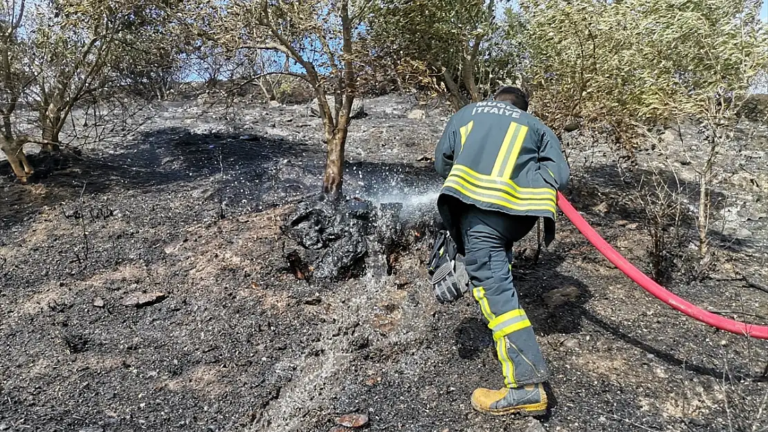 Zeytinlik ve makilik alanda çıkan yangın söndürüldü