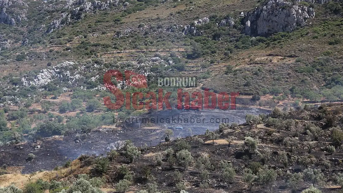 Zirai alanda çıkan yangın hava ve karadan müdahaleyle söndürüldü