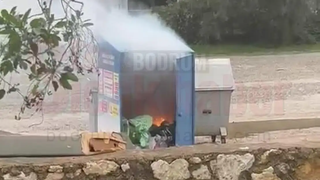 Zirai Atık Konteynerinde Çıkan Yangın Panik Yarattı