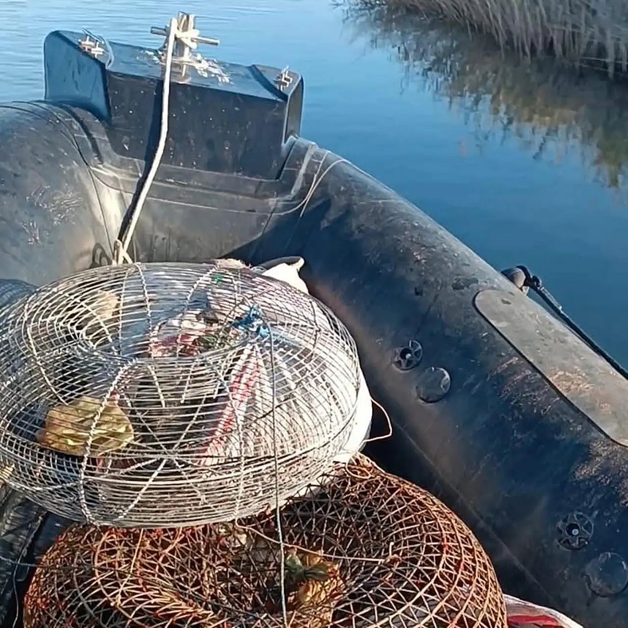 Kaçak av araçlarına el konuldu