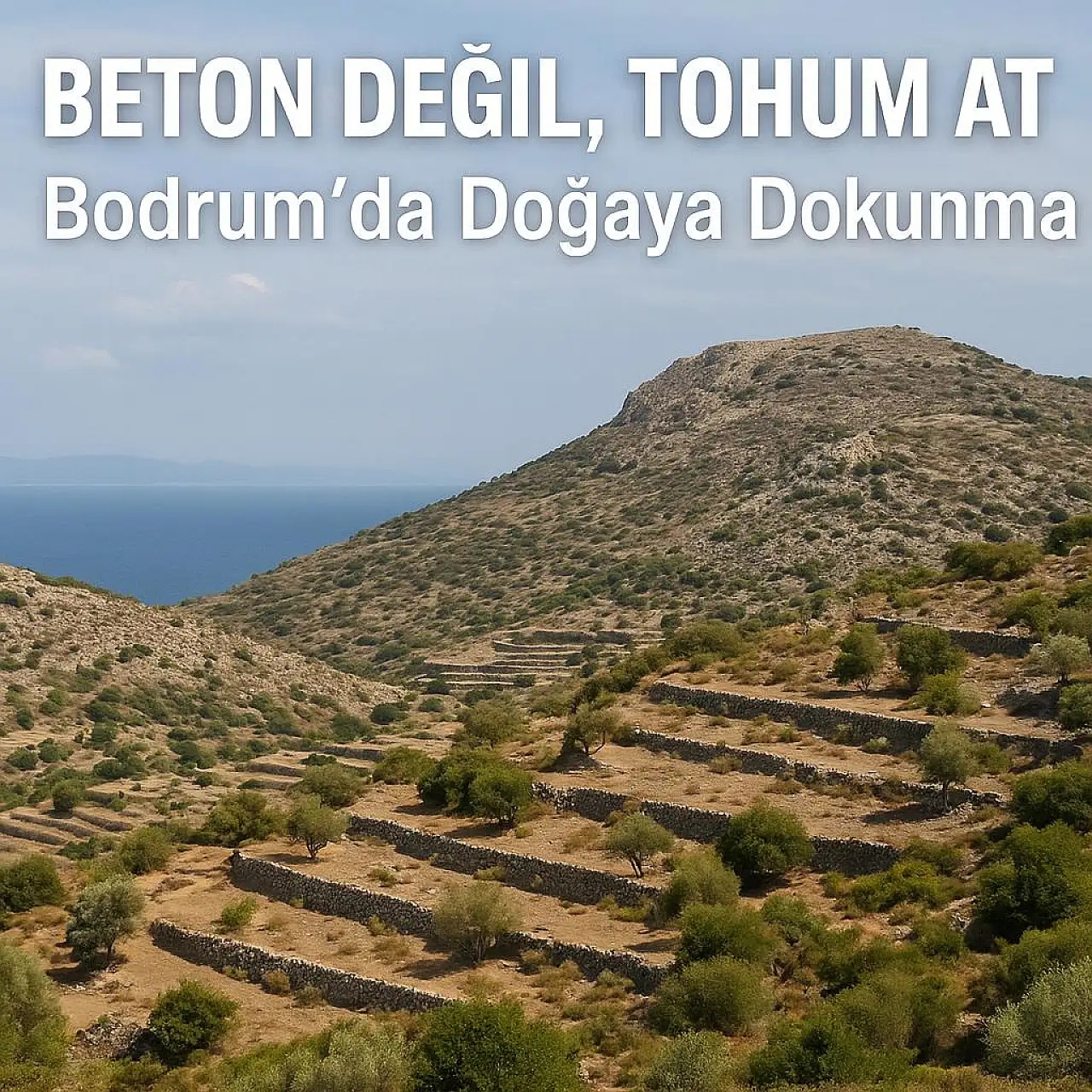 Beton değil tohum atmaya geldik