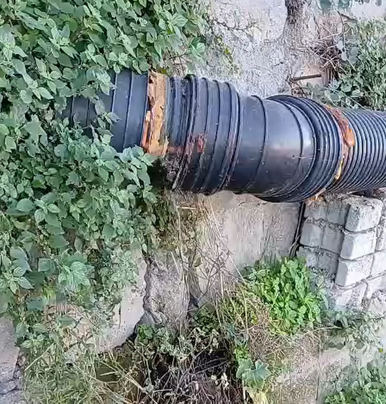 Çocuklar pis suyun içinden geçiyor, MUSKİ izliyor