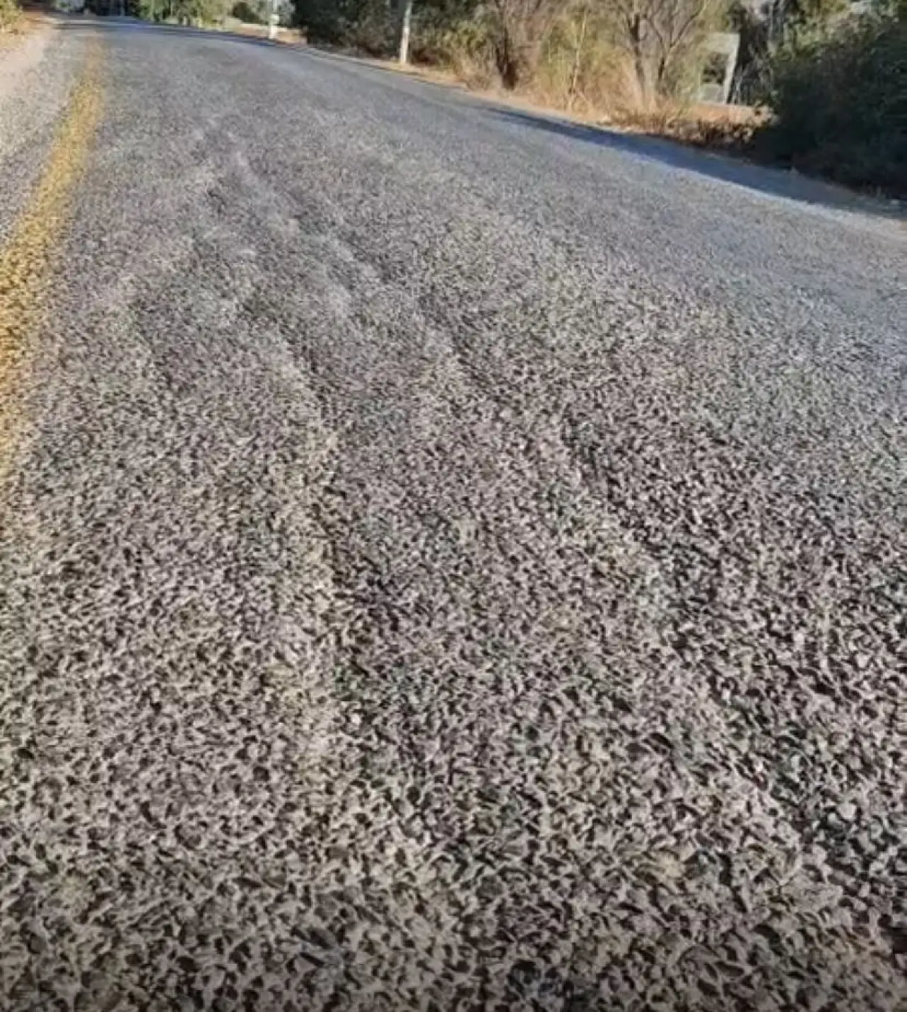 Göz boyama yollar, unutulan Bodrum !