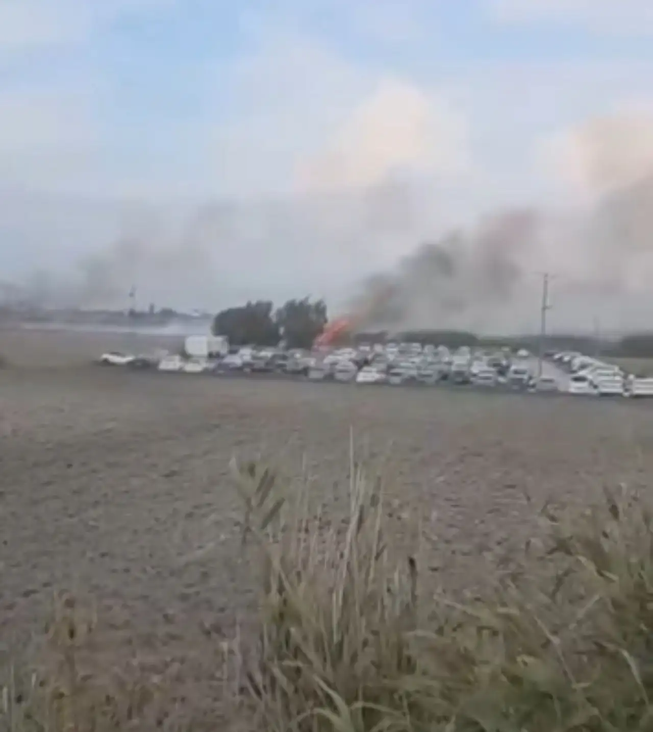 Havalimanı yanında otluk alanda yangın paniği