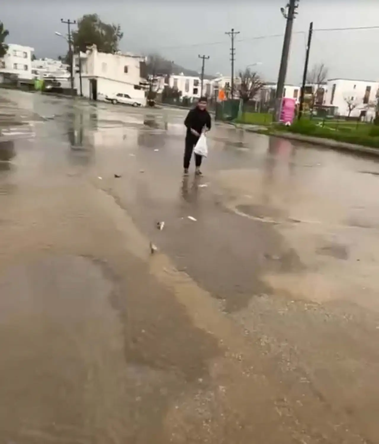 Taşan göletteki balıklar yola saçıldı