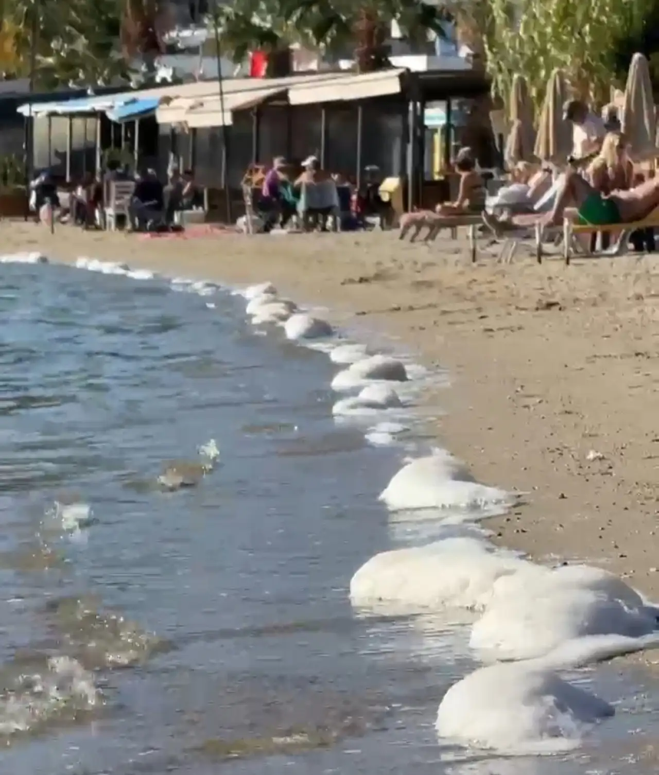 Bitez'de hafta sonu keyfine sintine engeli