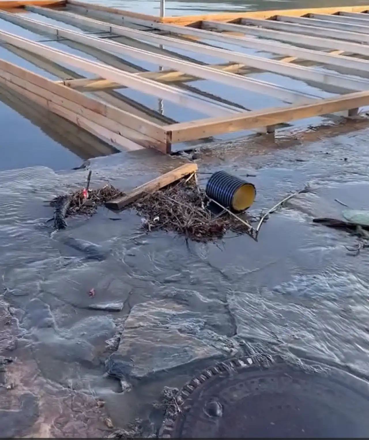 Pis su denize akıyor, koku sahili sardı!