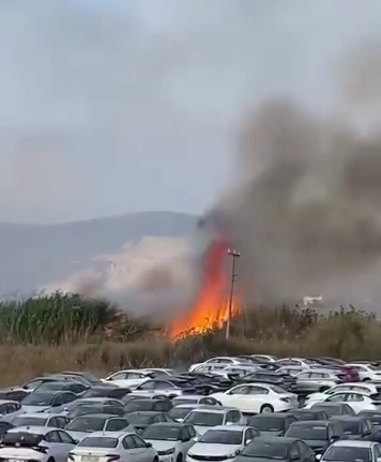 Havalimanı yanında otluk alanda yangın paniği