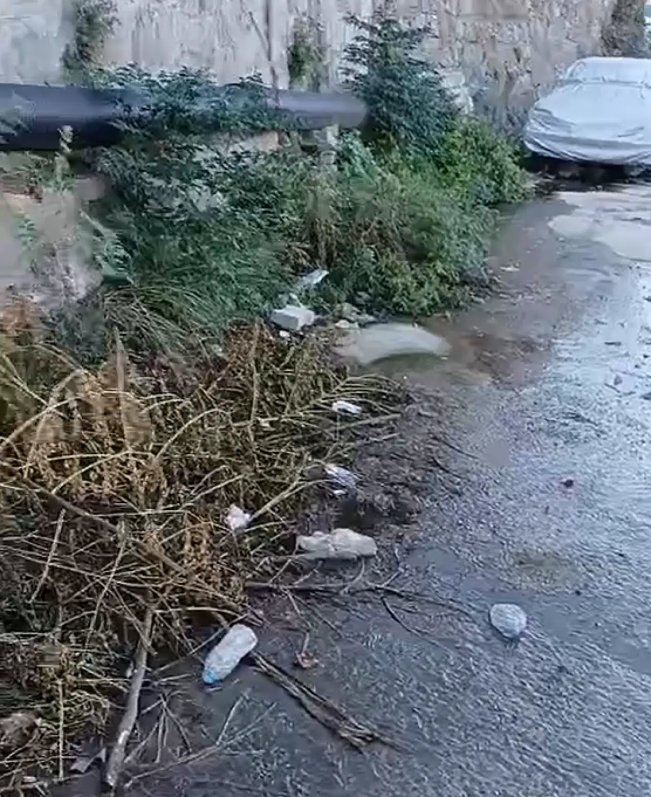 Çocuklar pis suyun içinden geçiyor, MUSKİ izliyor