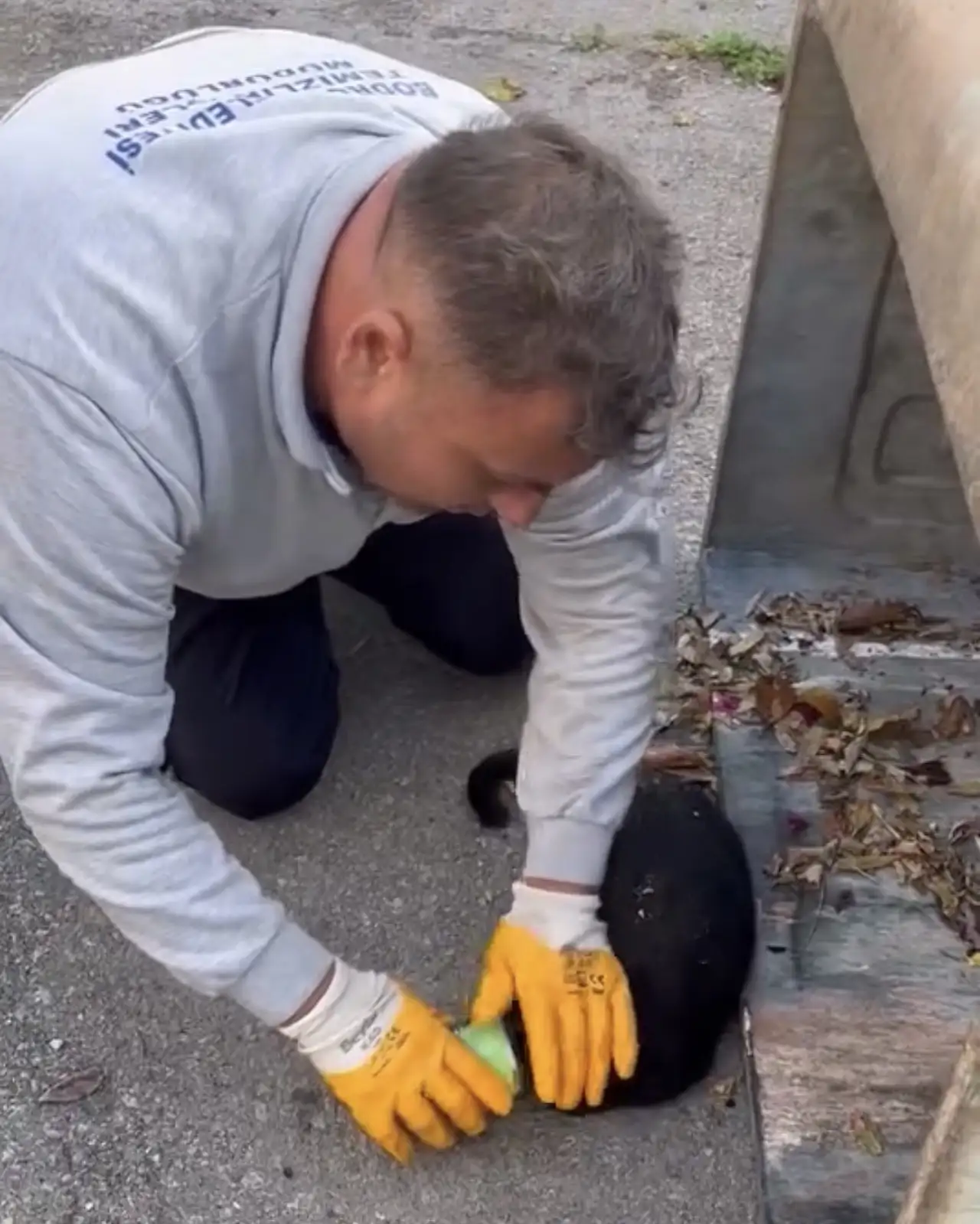 Günün kahramanı Bodrum temizlik işçileri