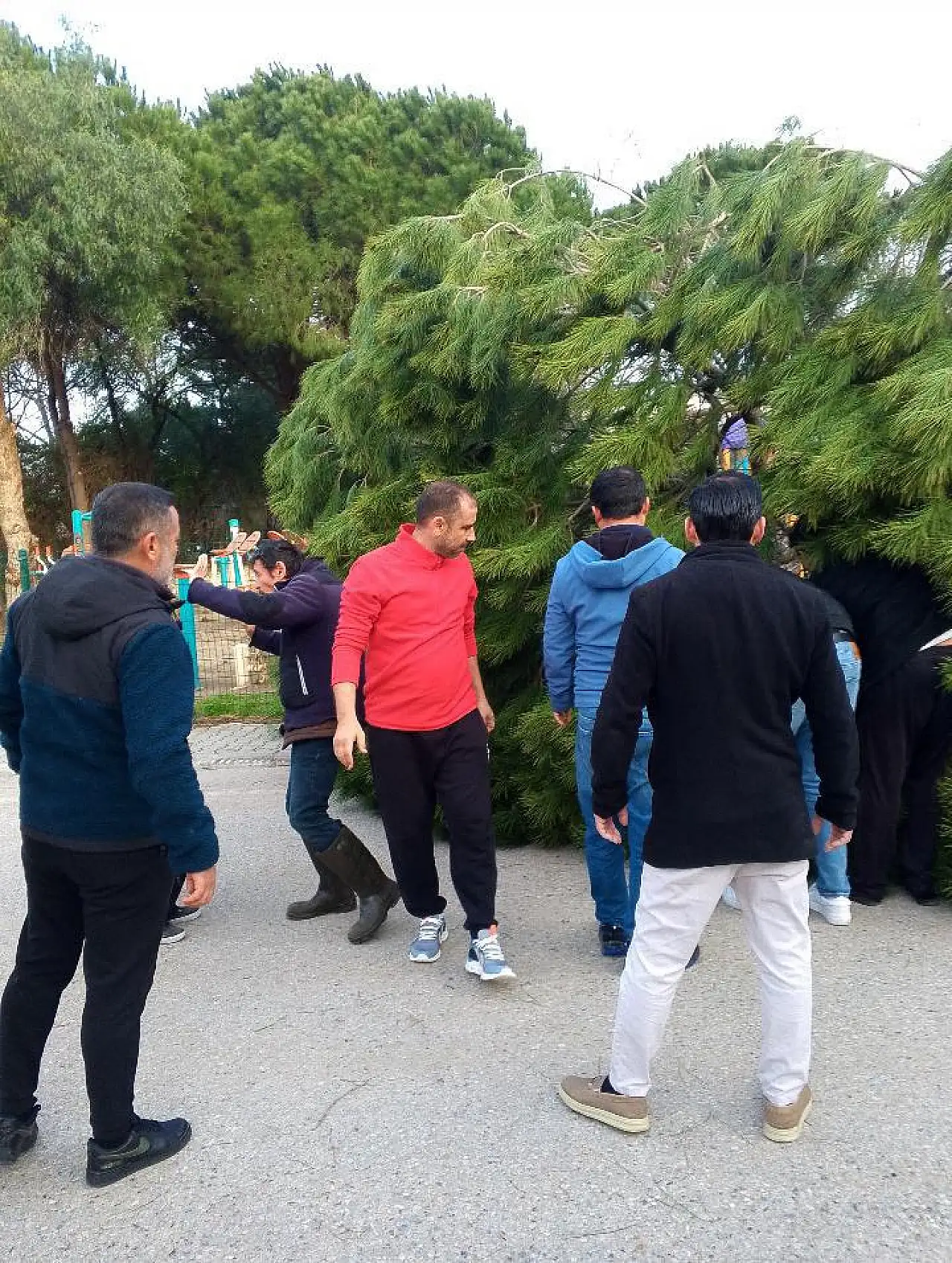 Bodrum'da fırtına korkuttu anne ve kızı ucuz atlattı