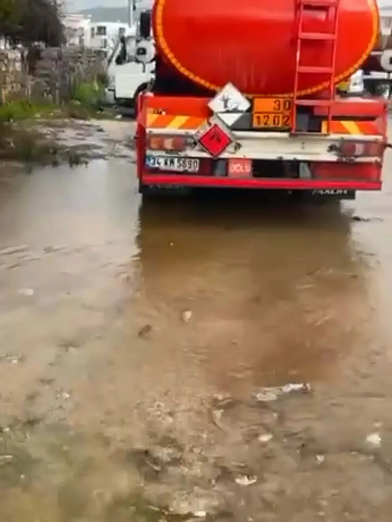 Taşan göletteki balıklar yola saçıldı