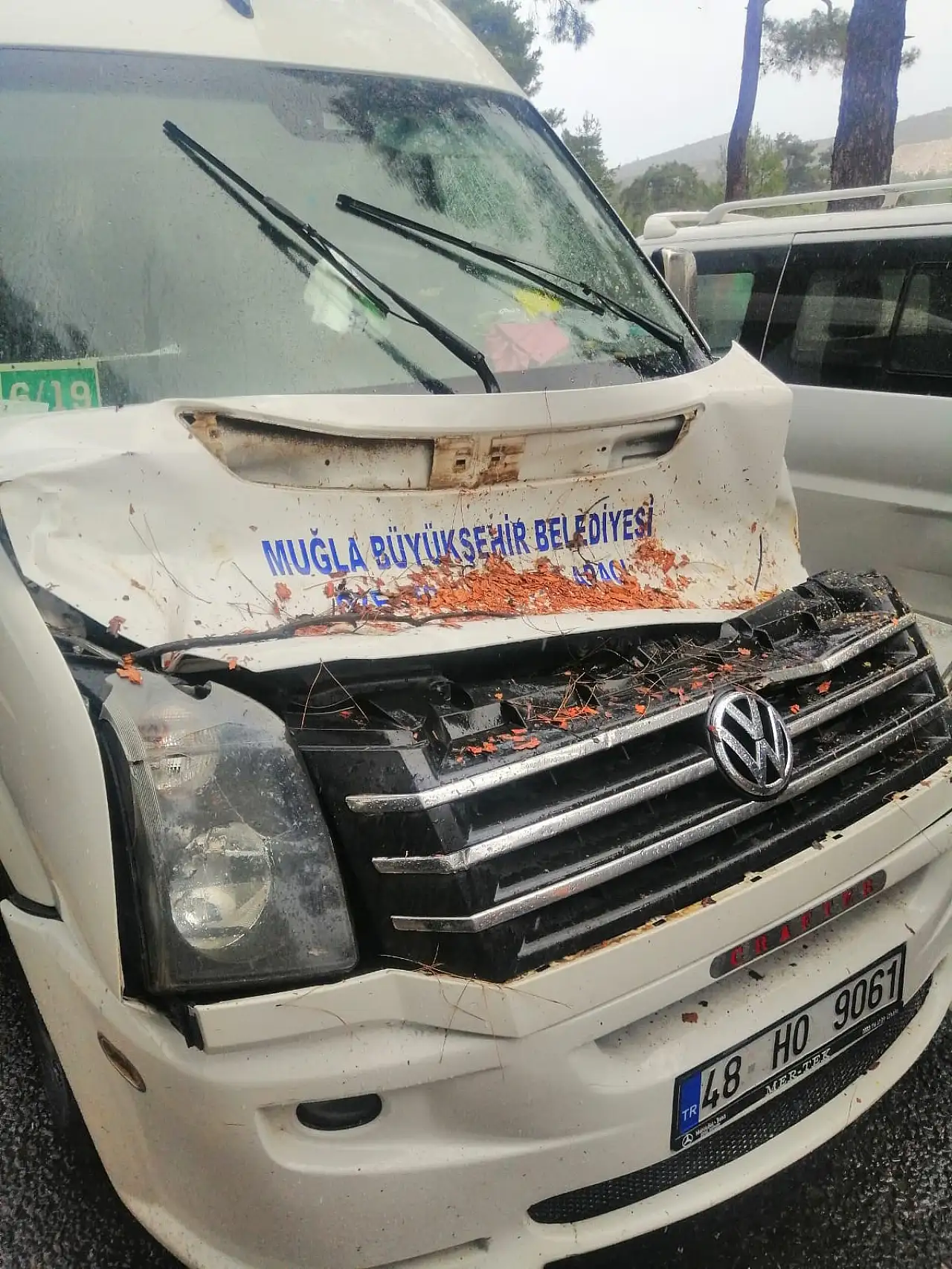 Seyir halindeki minibüsün üstüne ağaç devrildi