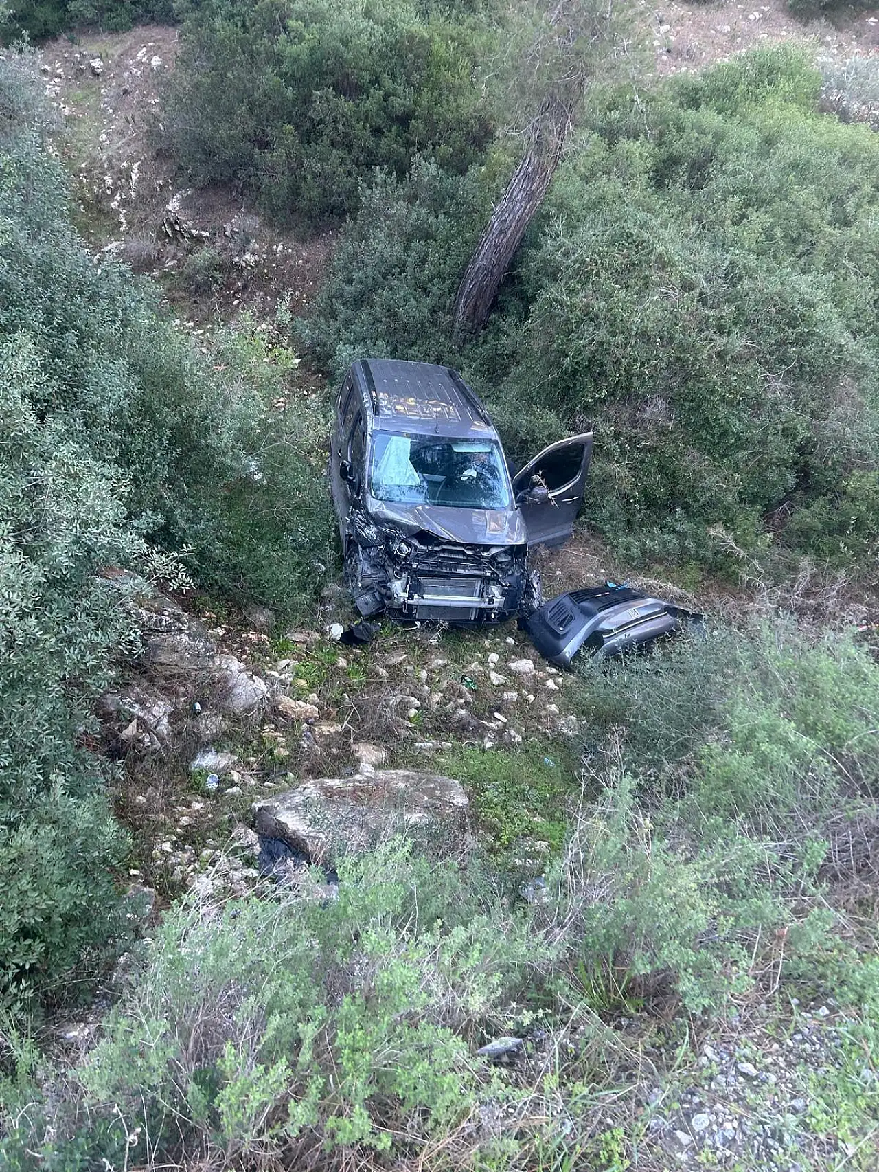 Direksiyon hâkimiyetini kaybeden sürücü ormanlık alana uçtu