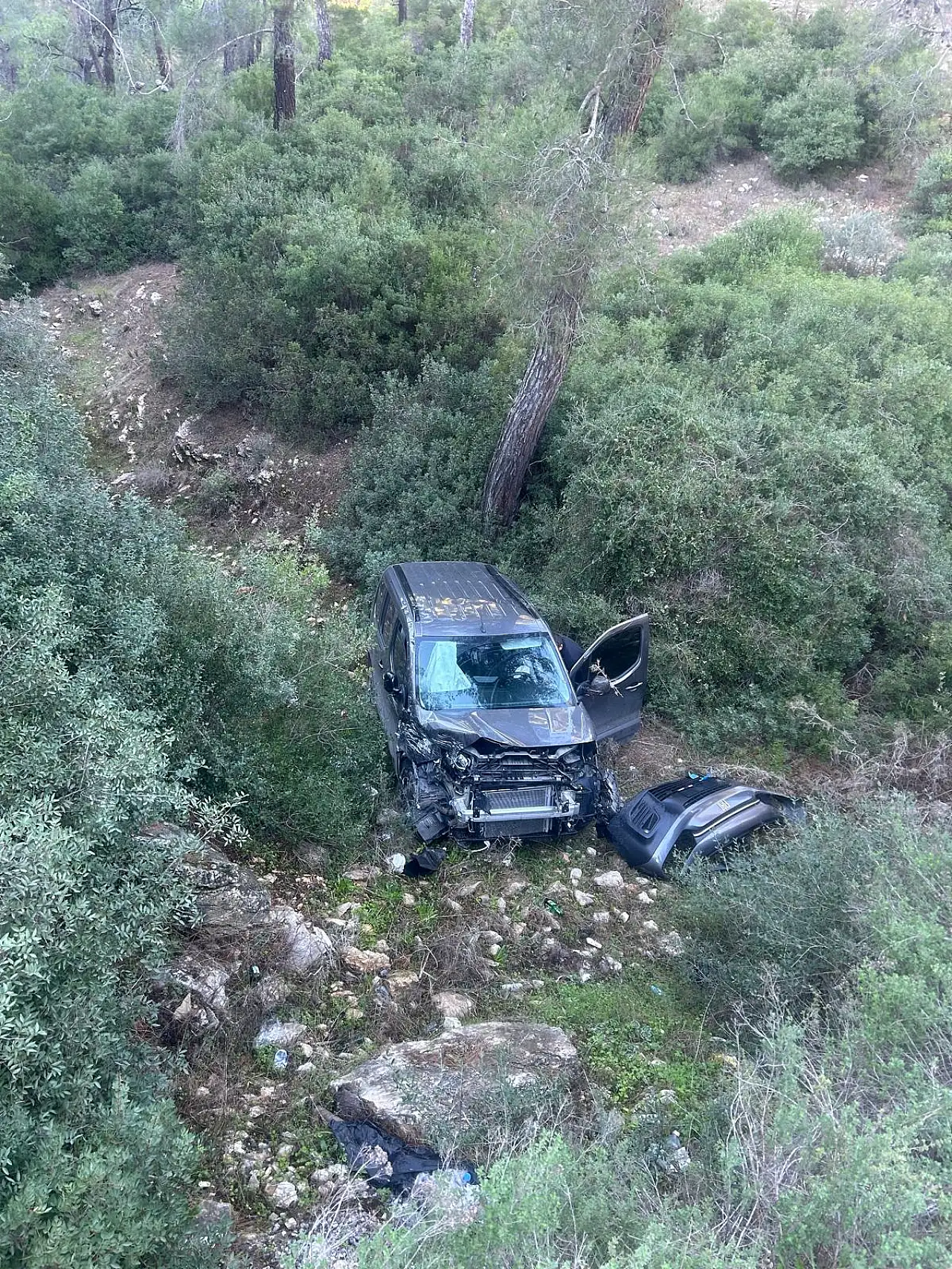 Direksiyon hâkimiyetini kaybeden sürücü ormanlık alana uçtu