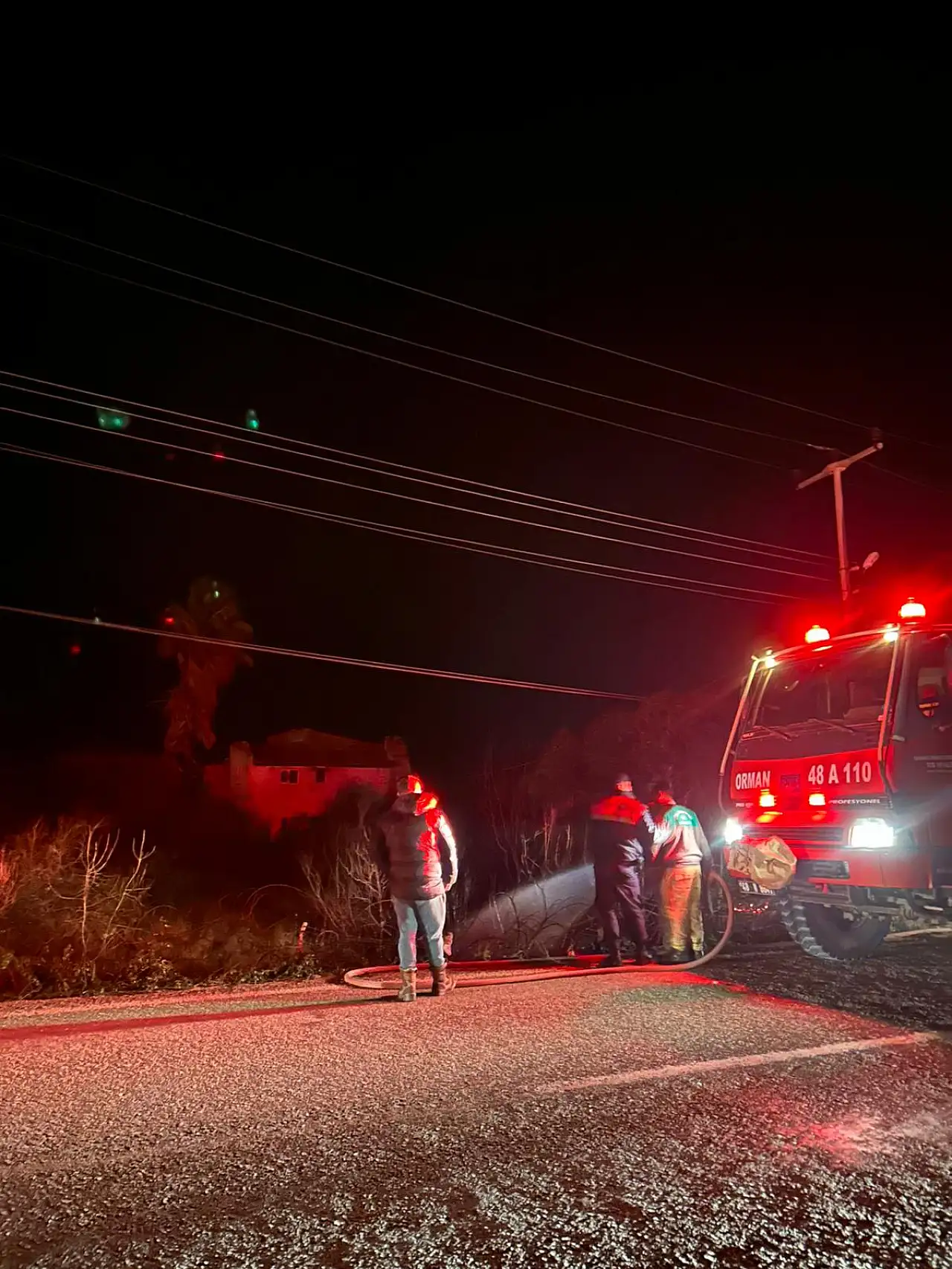 Elektrik hatları yangına neden oldu