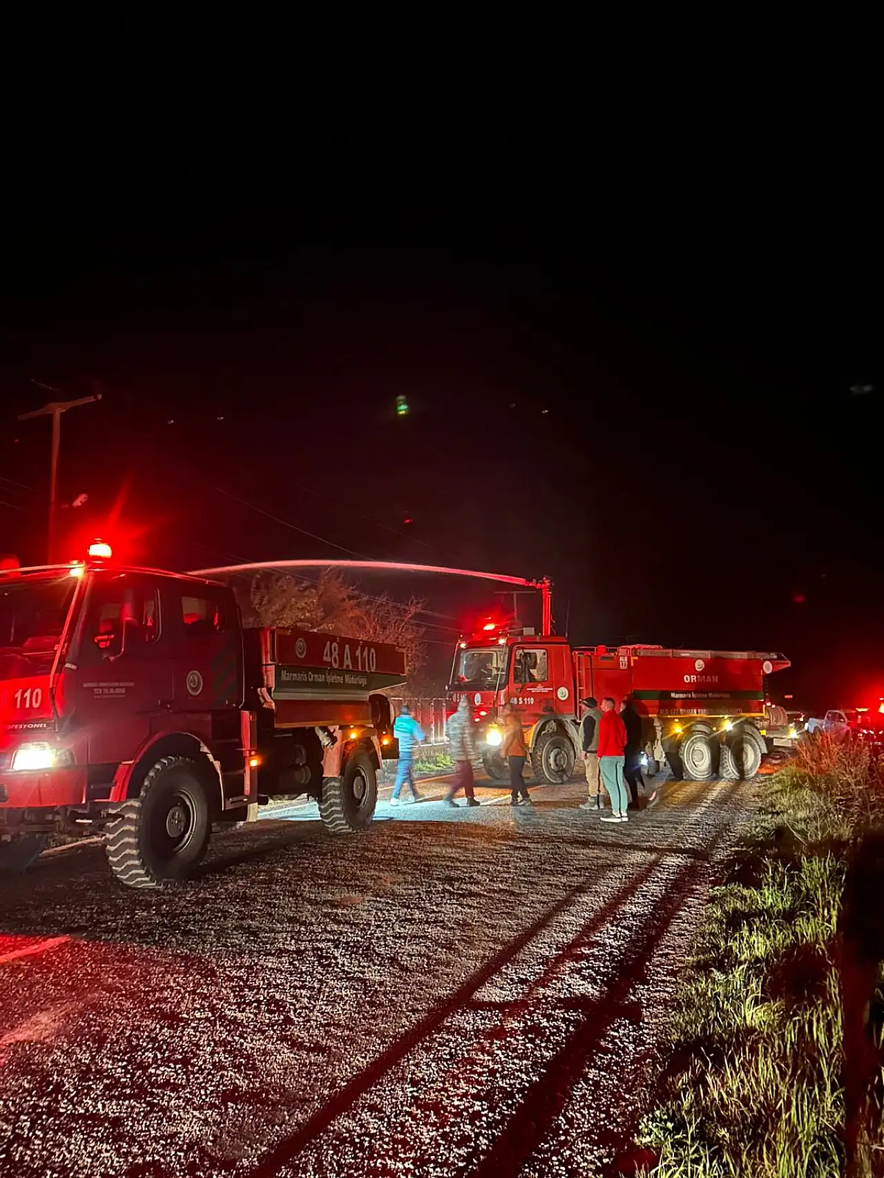 Elektrik hatları yangına neden oldu