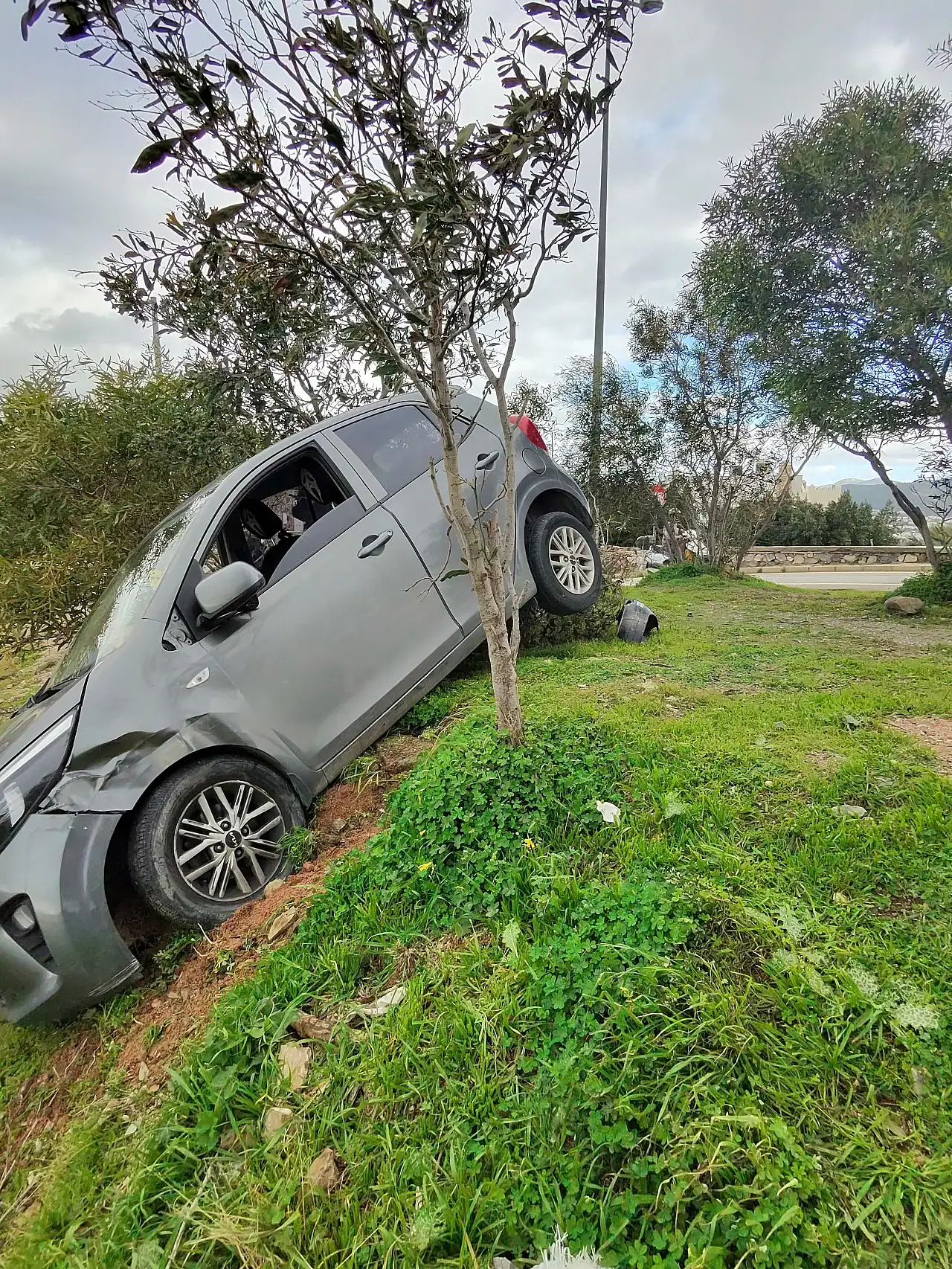 Eskiçeşme'de korkutan kaza: Otomobil ağacı devirerek durdu