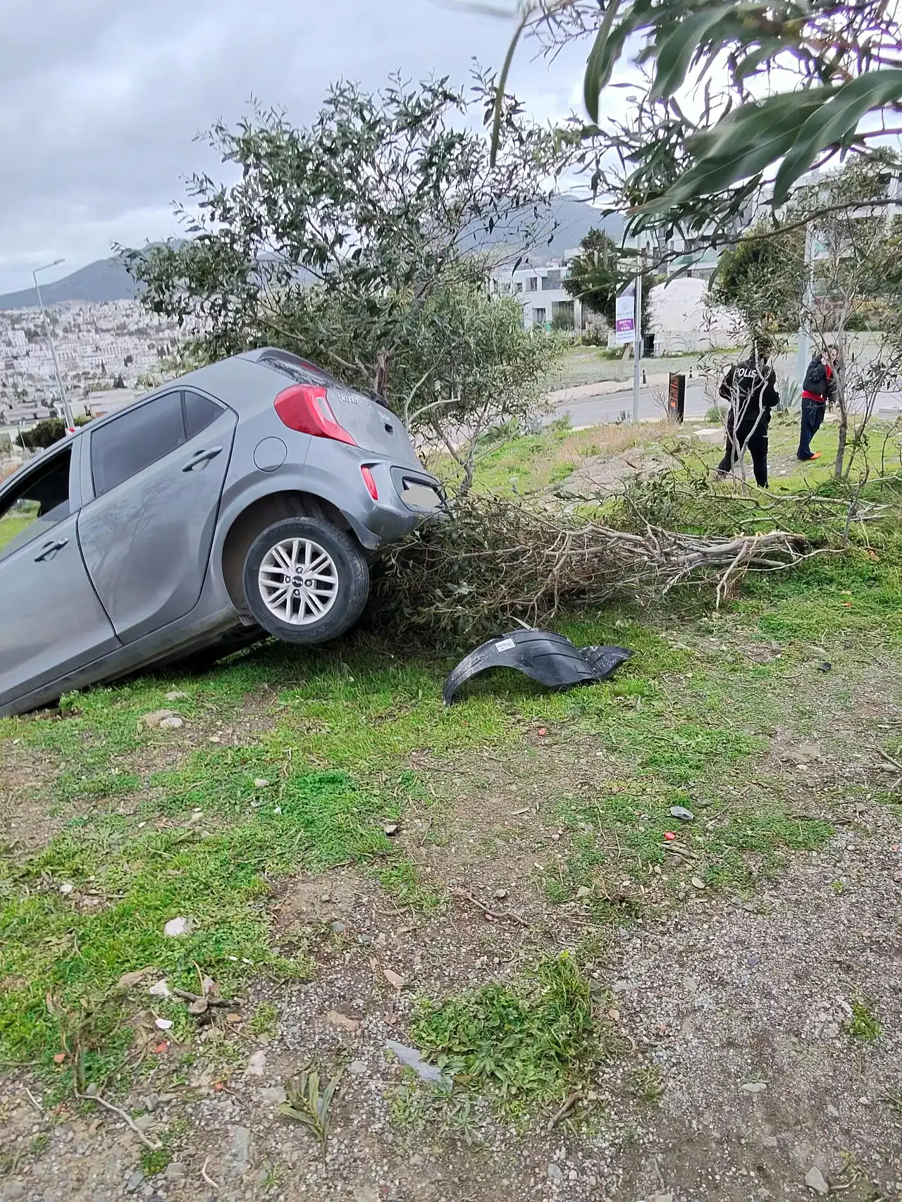 Eskiçeşme'de korkutan kaza: Otomobil ağacı devirerek durdu