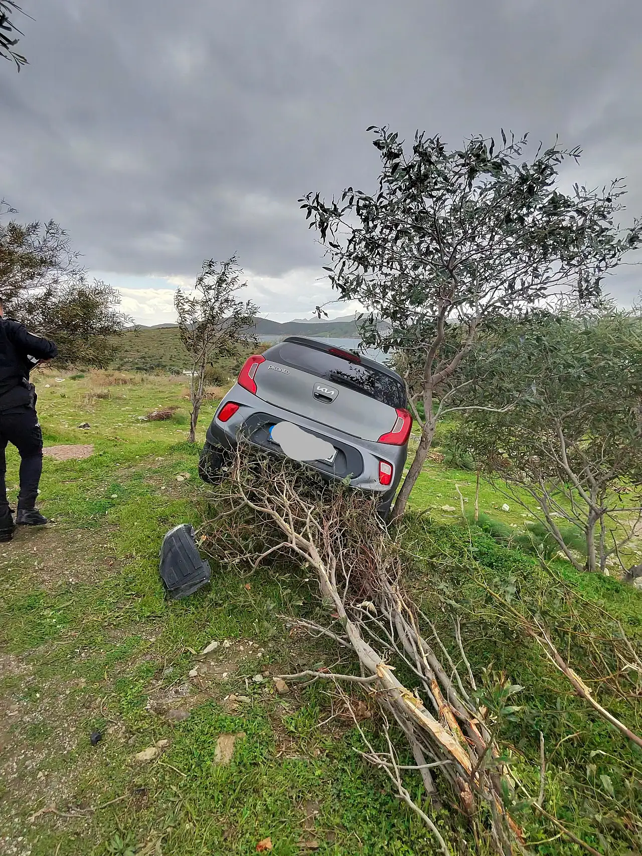 Eskiçeşme'de korkutan kaza: Otomobil ağacı devirerek durdu