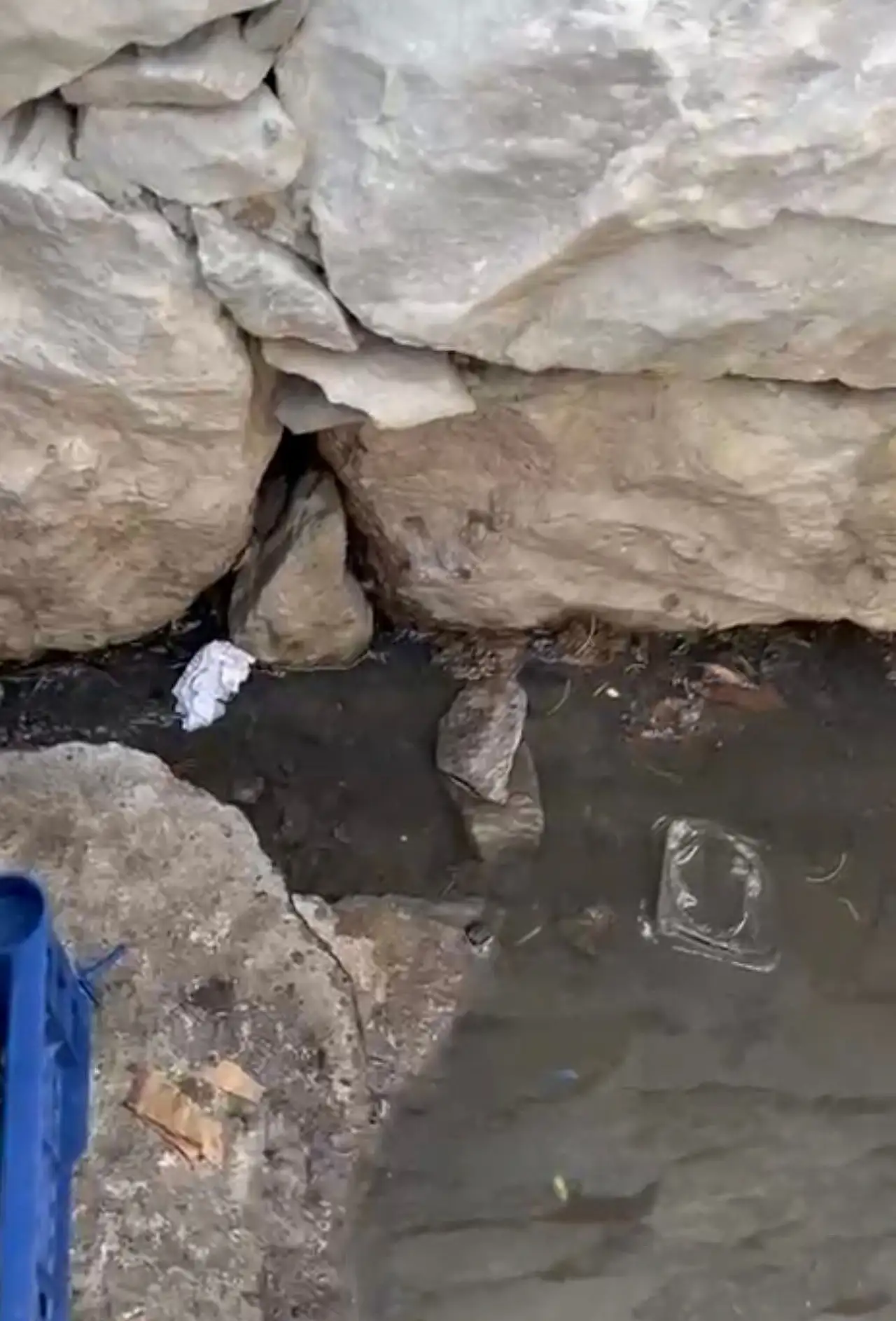 Bodrum'un göbeğinde lağım akıyor, kimse umursamıyor