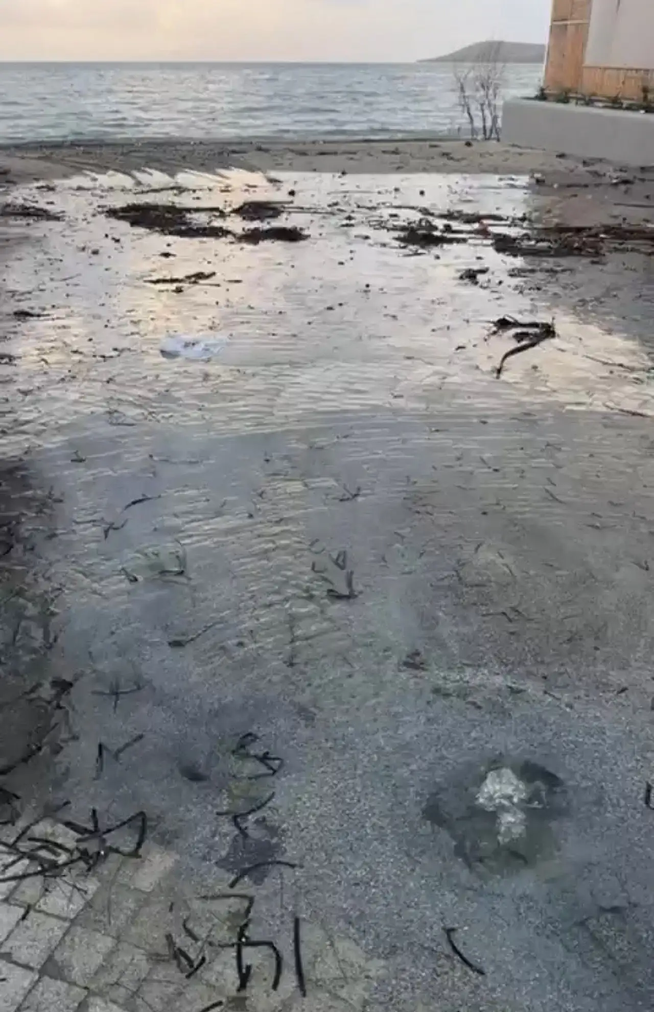 19 Ocak'ta Uyardık rezerv denize akıyor