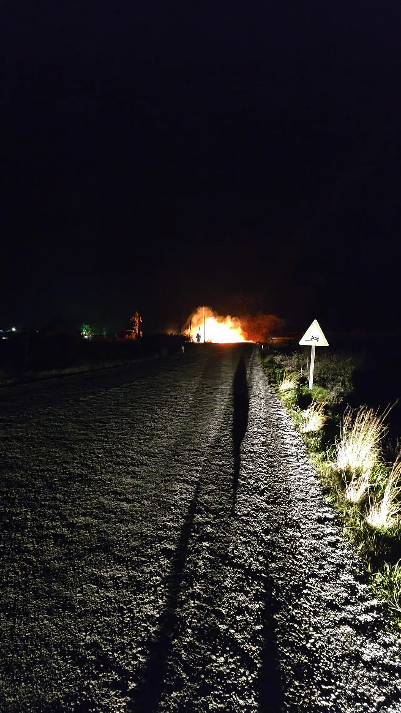 Elektrik hatları yangına neden oldu