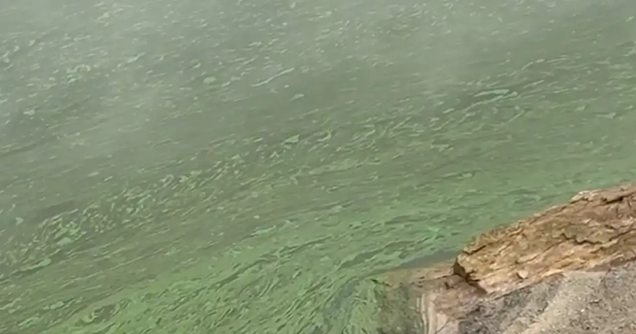 Bodrum su krizinde yetkililer masal anlatıyor