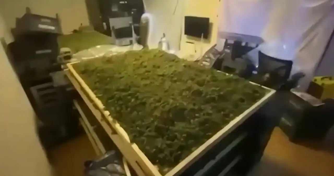 Uyuşturucu Operasyonu: 354,5 Kilo Madde Yakalandı