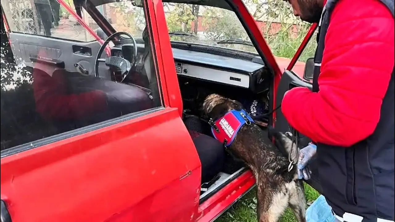 Bir haftada 44 aranan şahıs yakalandı 15'i tutuklandı