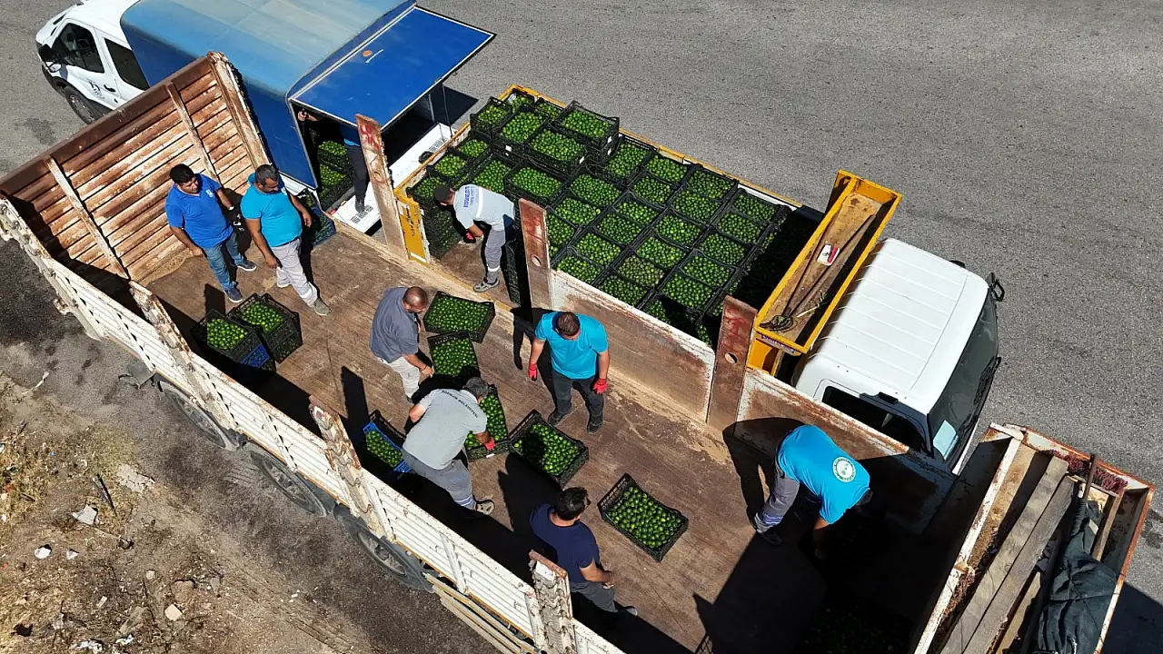 Yeşil Bodrum mandalini Türkiye'nin dört bir yanına ulaşıyor